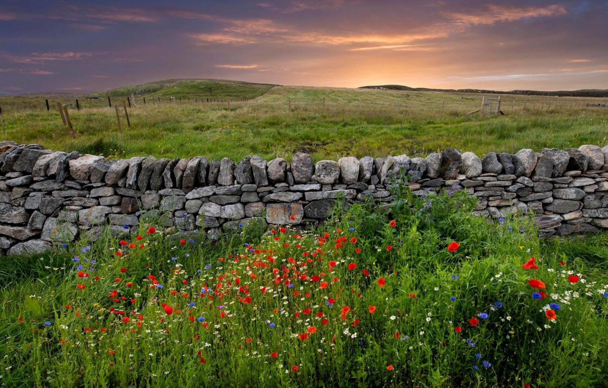 21 Callanish Luxury Pod Екстериор снимка